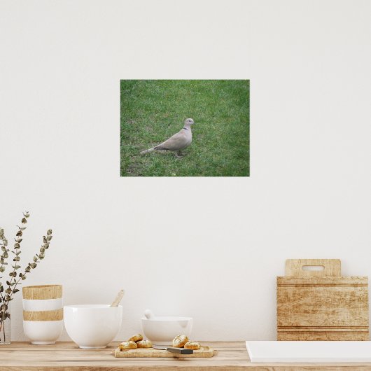 Collared Dove Print (Keuken)