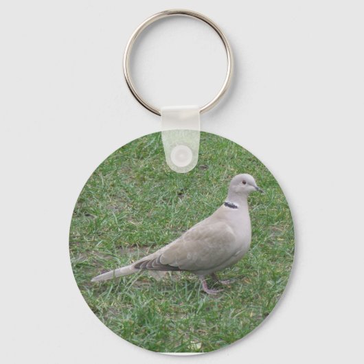 Collared Dove Sleutelhanger (Voorkant)