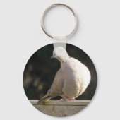 Collared Dove Sleutelhanger (Voorkant)