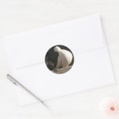 Collared Dove Sticker (Envelop)