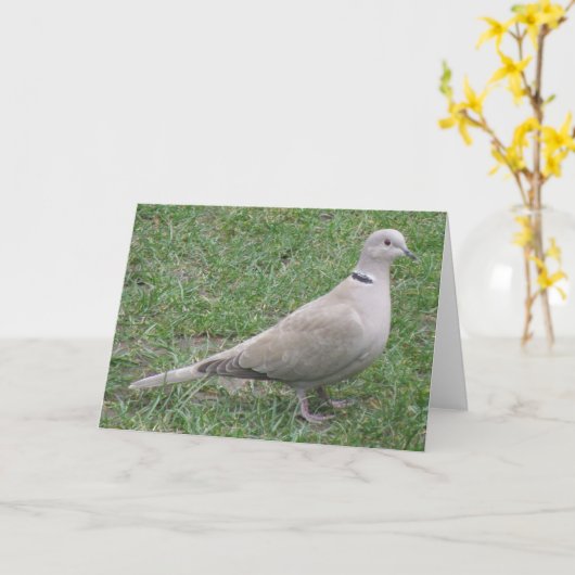 Collared Dove Wenskaart Kaart (Gele Bloem)