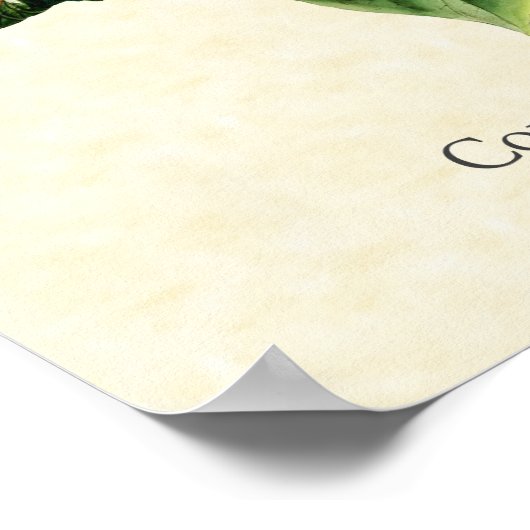 Collared Inca Hummingbird Art Print (Hoek)