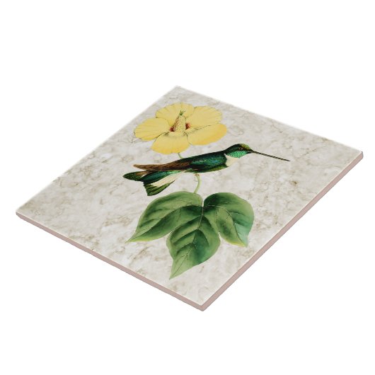 Collared Inca Hummingbird Ceramic Tile Tegeltje (Zijkant)