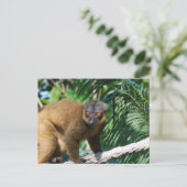Collared Lemur Briefkaart (Staand voorkant)