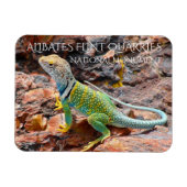 Collared Lizard, Alibates Flint Quarries, Texas Magneet (Horizontaal)