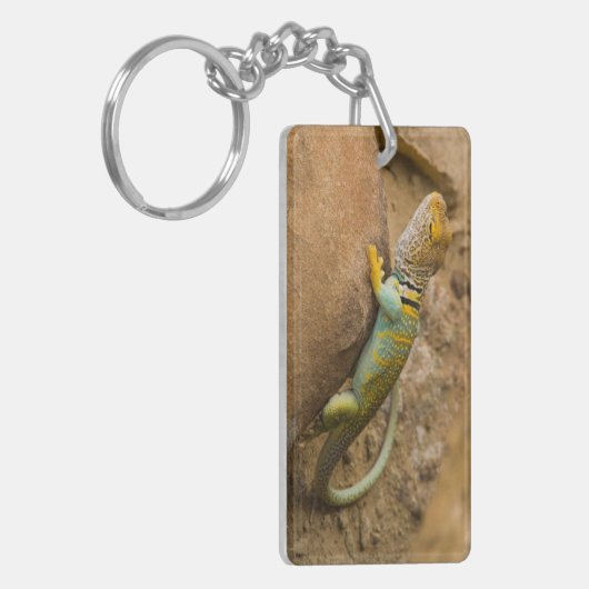 Collared Lizard Sleutelhanger (Voorkant Links)