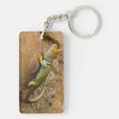 Collared Lizard Sleutelhanger (achterkant)
