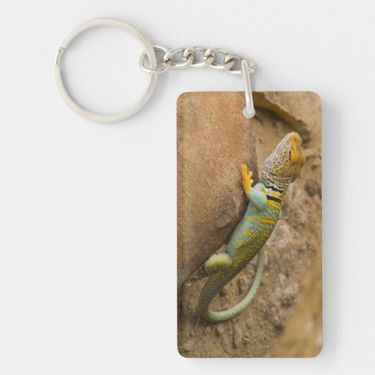 Collared Lizard Sleutelhanger (Voorkant)
