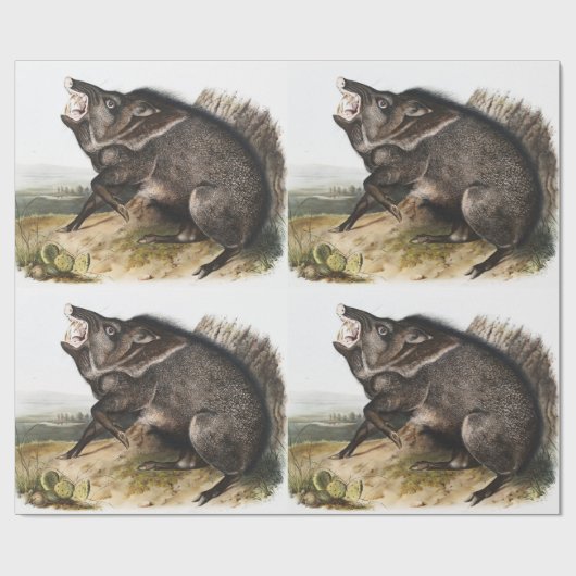 Collared Peccary Dycoteles torquatus Illustratie Cadeaupapier (Vlak)