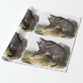 Collared Peccary Dycoteles torquatus Illustratie Cadeaupapier (Uitgerold)