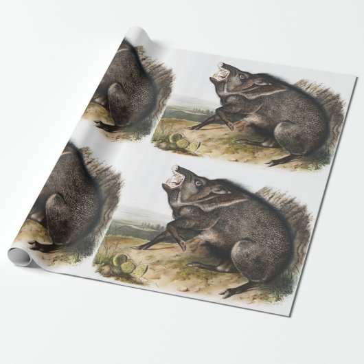 Collared Peccary Dycoteles torquatus Illustratie Cadeaupapier (Uitgerold)