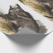 Collared Peccary Dycoteles torquatus Illustratie Cadeaupapier (Hoek)