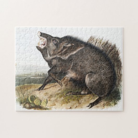 Collared Peccary Dycoteles torquatus Illustratie Legpuzzel (Horizontaal)