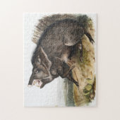 Collared Peccary Dycoteles torquatus Illustratie Legpuzzel (Verticaal)