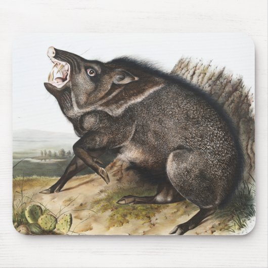Collared Peccary Dycoteles torquatus Illustratie Muismat (Voorkant)