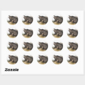 Collared Peccary Dycoteles torquatus Illustratie Ronde Sticker (Vel)