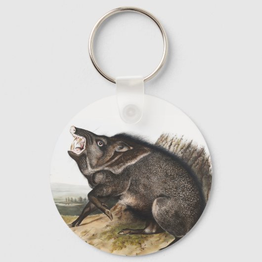 Collared Peccary Dycoteles torquatus Illustratie Sleutelhanger (Voorkant)