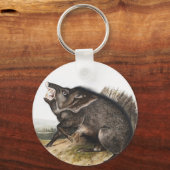 Collared Peccary Dycoteles torquatus Illustratie Sleutelhanger (Voorkant)