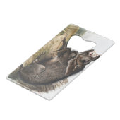 Collared Peccary Pig Camping Deco Gifts Creditkaart Flessenopener (Voorkant Gekanteld)