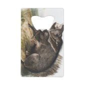 Collared Peccary Pig Camping Deco Gifts Creditkaart Flessenopener (Achterkant)