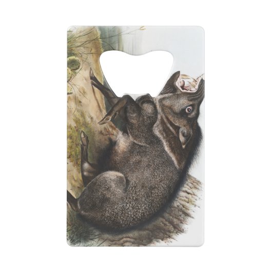 Collared Peccary Pig Camping Deco Gifts Creditkaart Flessenopener (Achterkant)