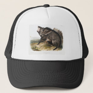 Collared Peccary Pig Camping Deco Gifts Trucker Pet