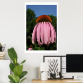 Collassal Echinacea Poster (Thuiskantoor)