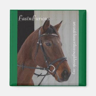 Collectible Magnet Series - FastFurious