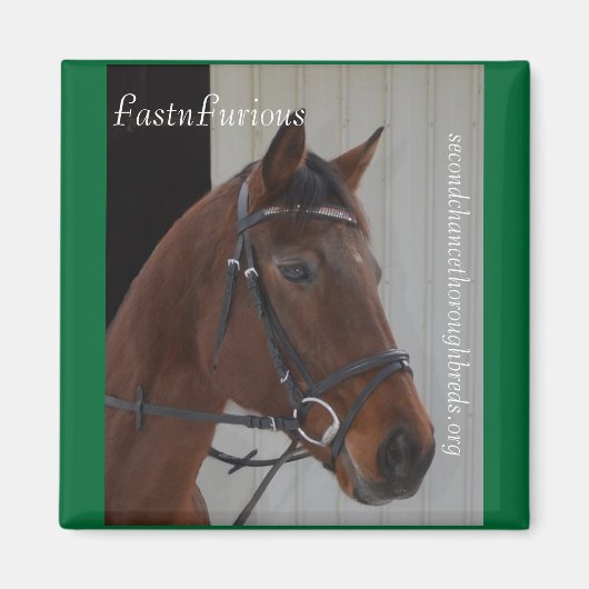 Collectible Magnet Series - FastFurious (Voorkant)