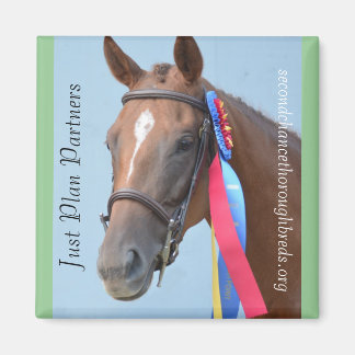 Collectible Magnet Series - Just Plan Partners