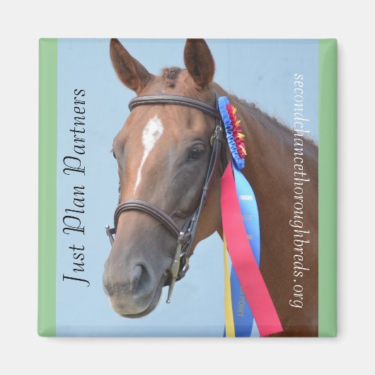 Collectible Magnet Series - Just Plan Partners (Voorkant)