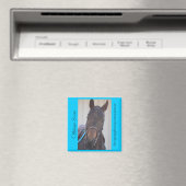 Collectible Magnet Series - Offshore Score (Insitu (Vaatwasser))