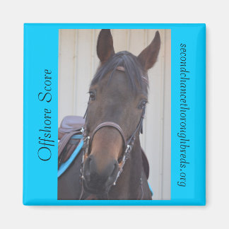 Collectible Magnet Series - Offshore Score