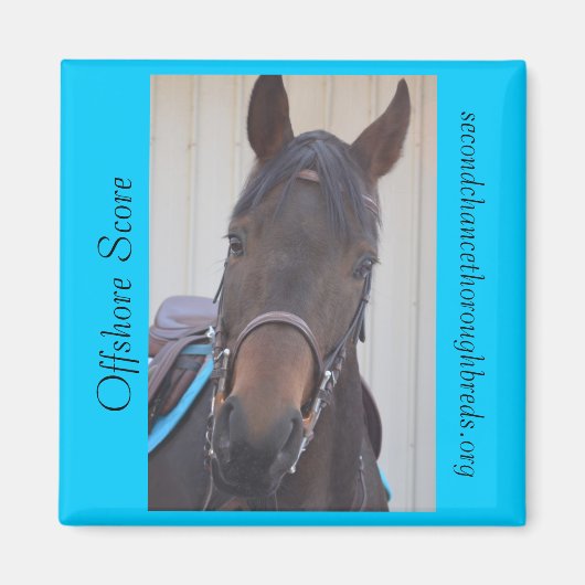 Collectible Magnet Series - Offshore Score (Voorkant)