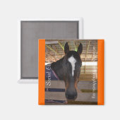 Collectible Magnet Series - Social Club (Voorkant / Achterkant)