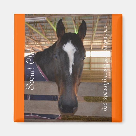 Collectible Magnet Series - Social Club (Voorkant)