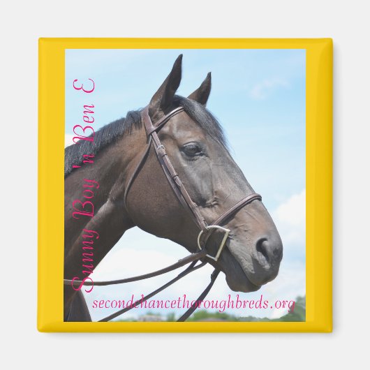 Collectible Magnet Series - Sunny Boy 'n Ben E (Voorkant)