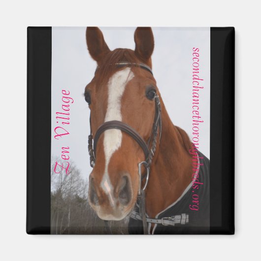 Collectible Magnet Series - Zen Village (Voorkant)