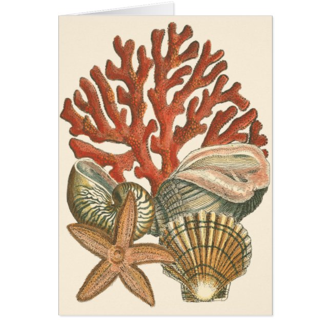 Collectie (Voorkant)