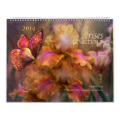 Collectie 1 art. kalender 2014 (Hoes)