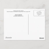 collectie "Badlands National Park" Briefkaart (Achterkant)