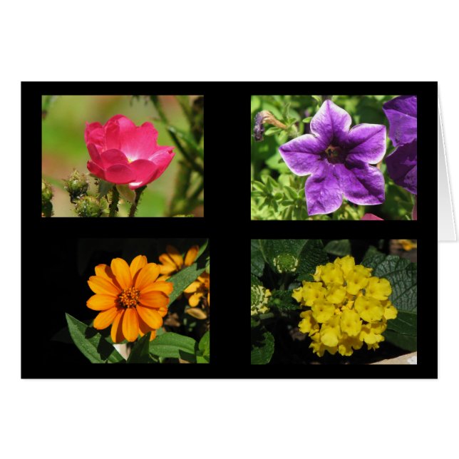 Collectie  bloemen (Voorkant Horizontaal)