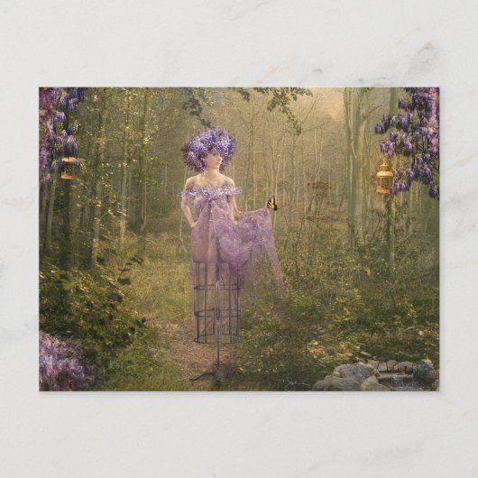 Collectie Briefkaart (Voorkant)