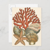 Collectie Briefkaart (Voorkant / Achterkant)