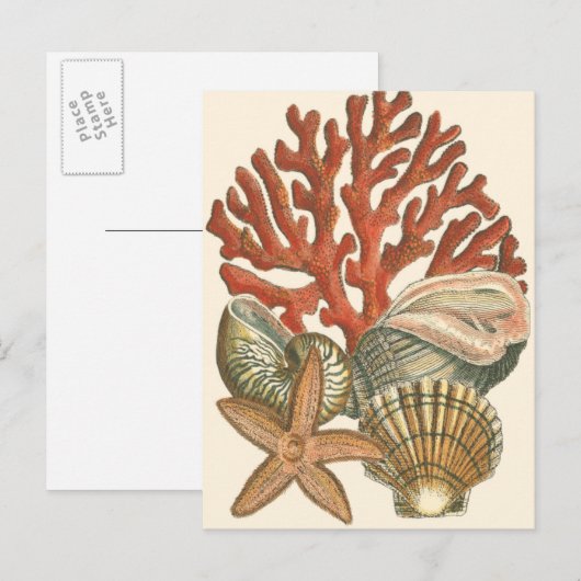 Collectie Briefkaart (Voorkant / Achterkant)