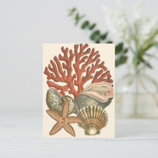 Collectie Briefkaart (Staand voorkant)