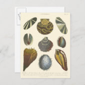 Collectie Briefkaart (Voorkant / Achterkant)