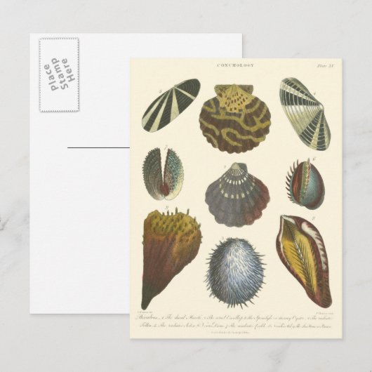 Collectie Briefkaart (Voorkant / Achterkant)