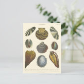 Collectie Briefkaart (Staand voorkant)