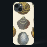 Collectie iPhone 13 Hoesje<br><div class="desc">Als je vandaag niet op het strand kunt komen, krijg je dit klassieke afbeelding van dit unieke afbeelding van het leven van het zee van Albertus Seba! Stel je voor dat je op een strand Zee-anemonen ontdekt die de natuur moet aanbieden. Deze seizoenshellen en zee planten door de oceaan zijn...</div>